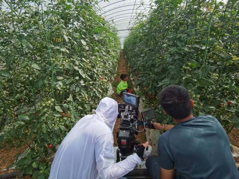 泉山区产品宣传视频拍摄公司进阶指南，助力品牌抢占传播高地